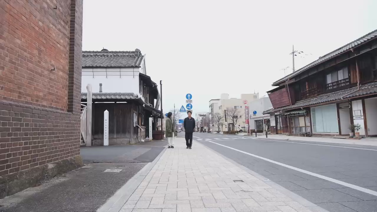 動画を読み込む: 